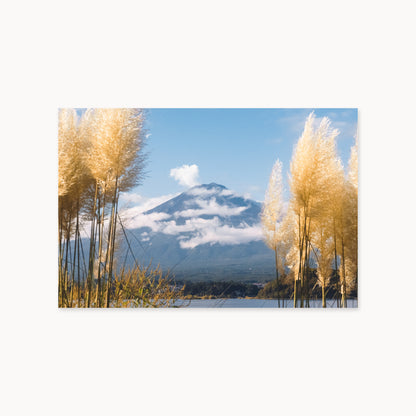 Mount Fuji View
