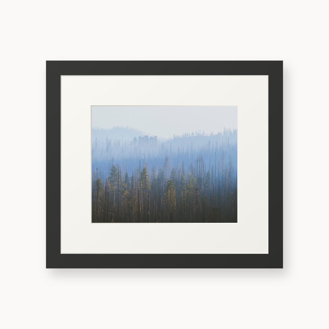 
Sequoia Waves, 8×10 in, black