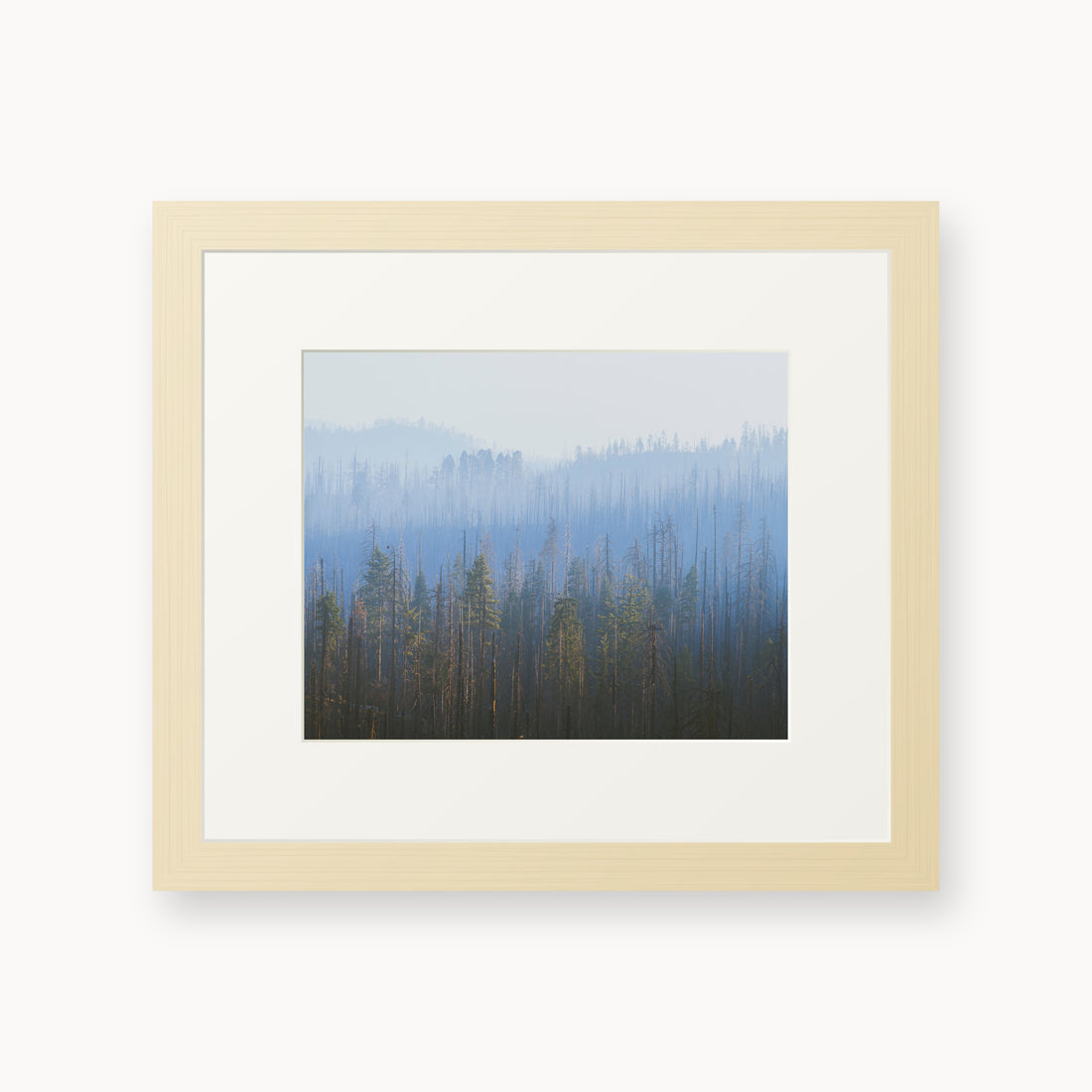 
Sequoia Waves, 8×10 in, maple