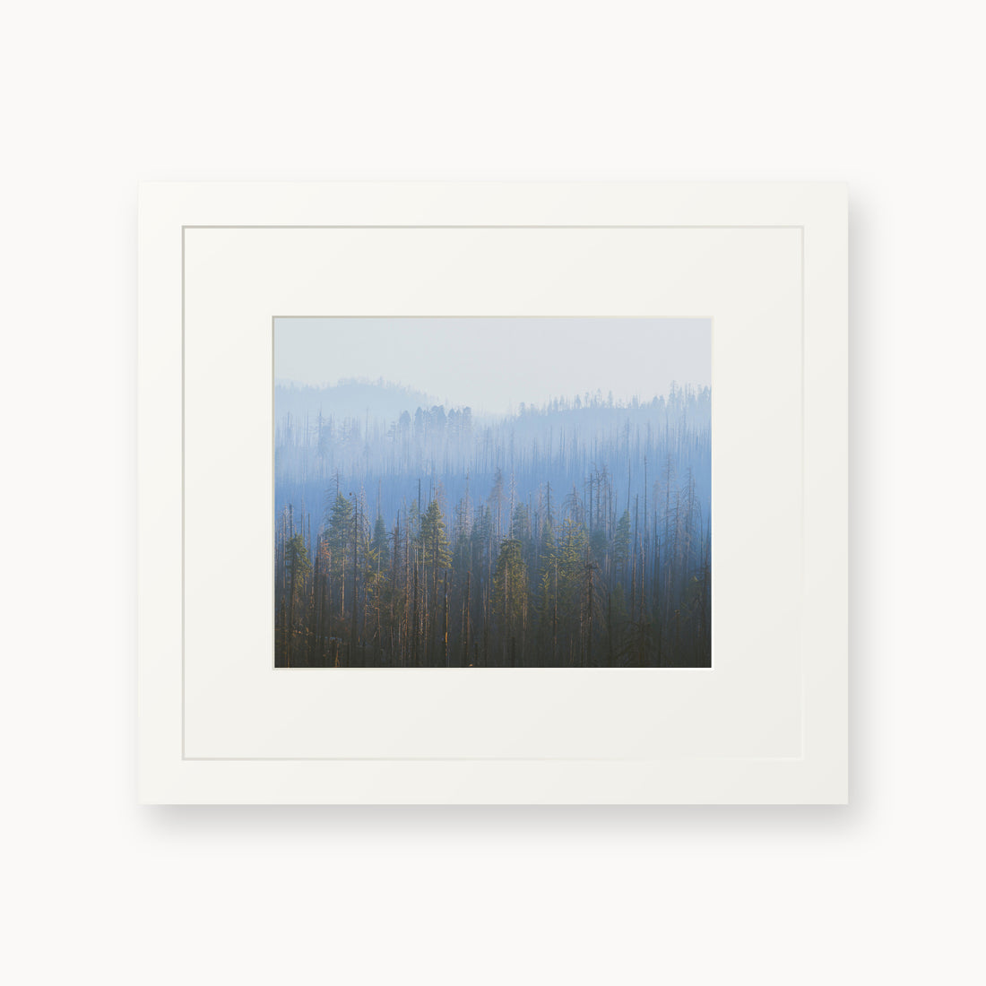 
Sequoia Waves, 8×10 in, white