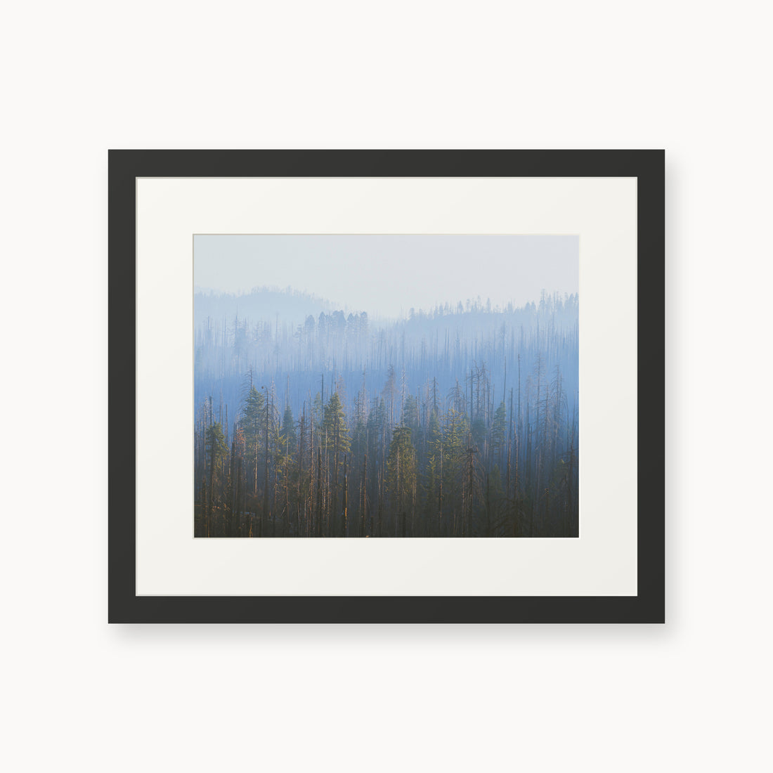 
Sequoia Waves, 11×14 in, black