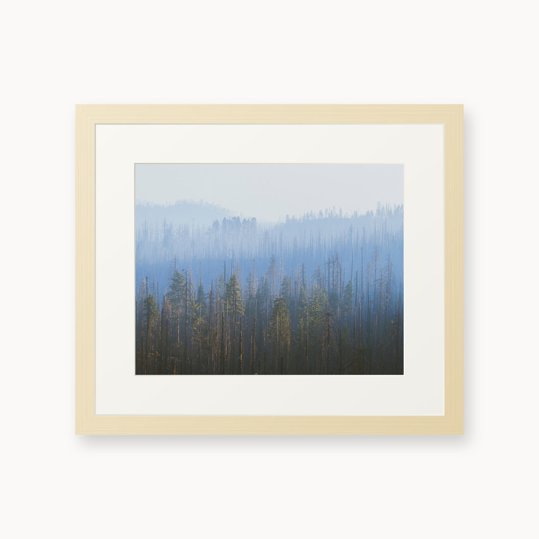 
Sequoia Waves, 11×14 in, maple