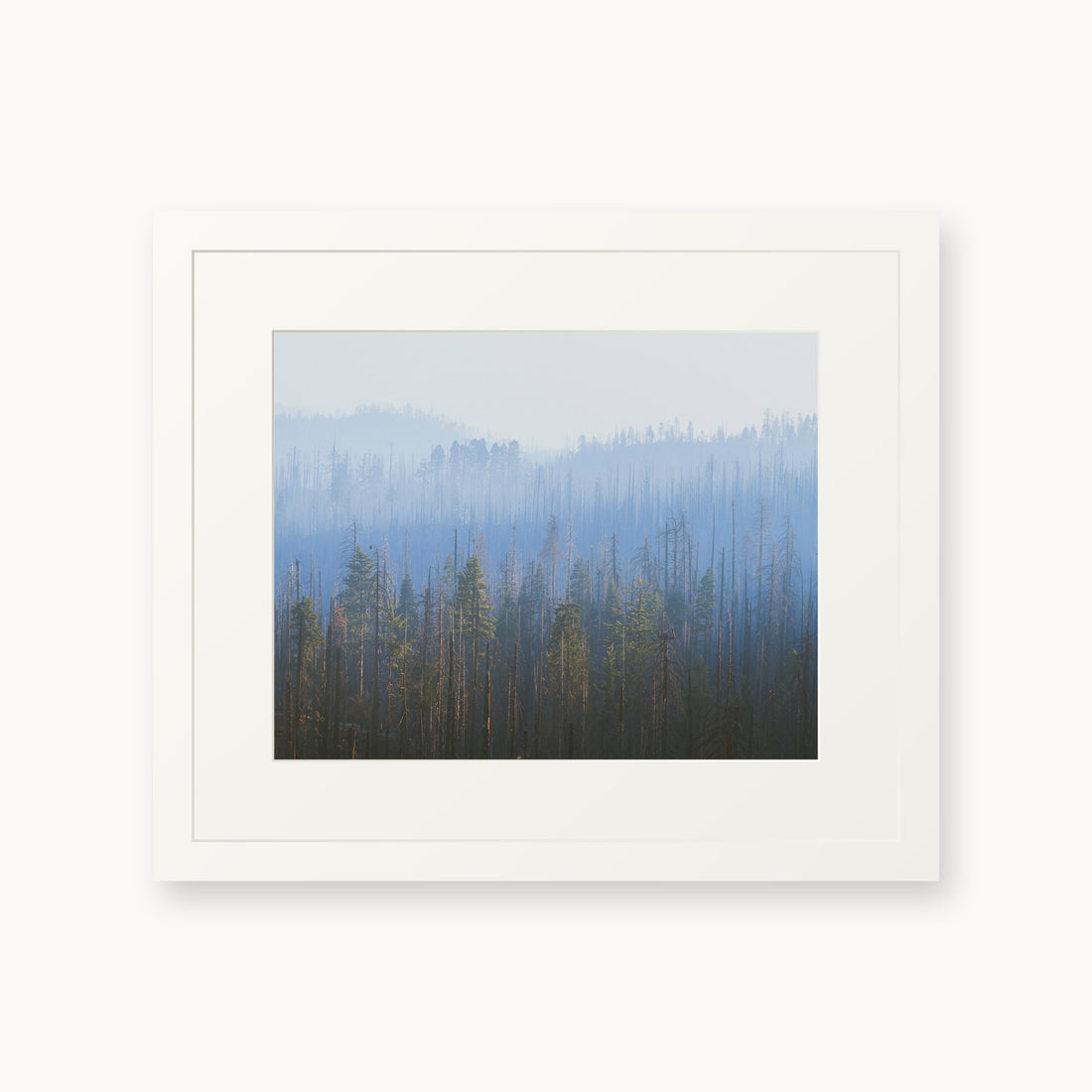 
Sequoia Waves, 11×14 in, white