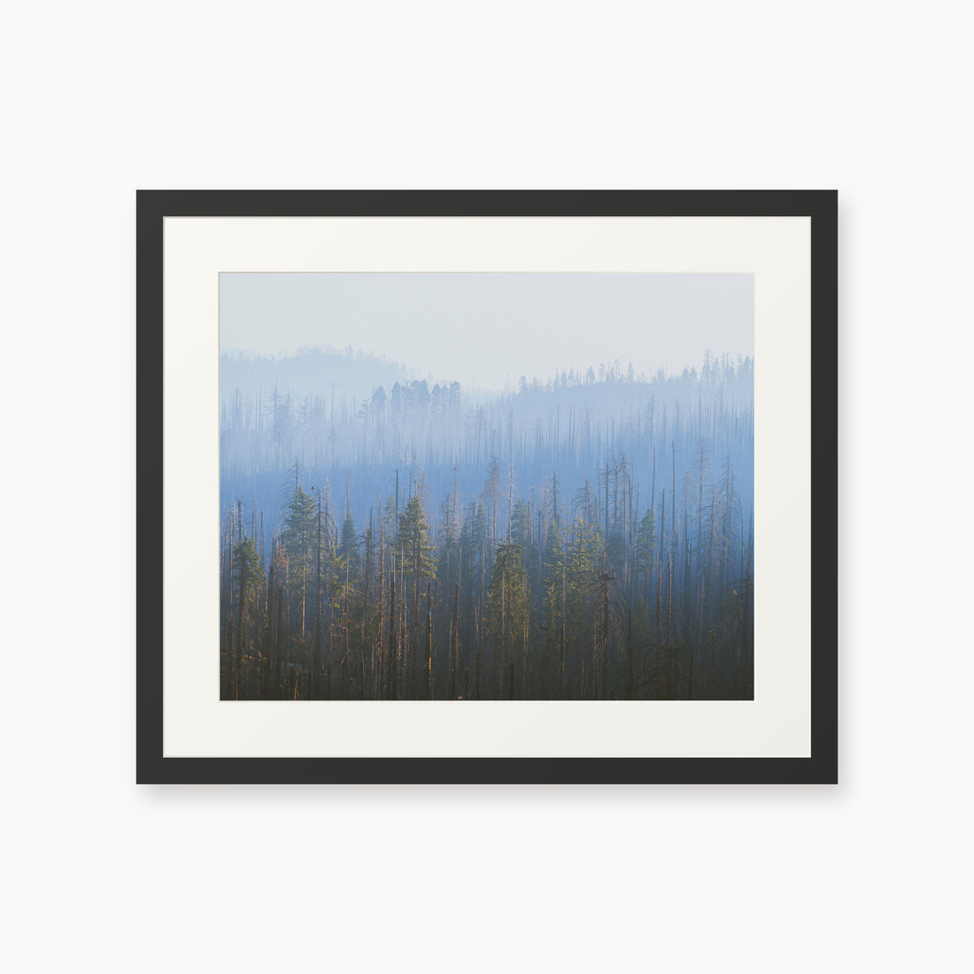 
Sequoia Waves, 16×20 in, black