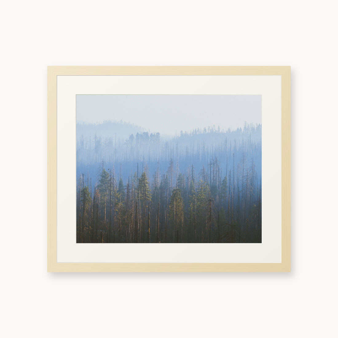 
Sequoia Waves, 16×20 in, maple