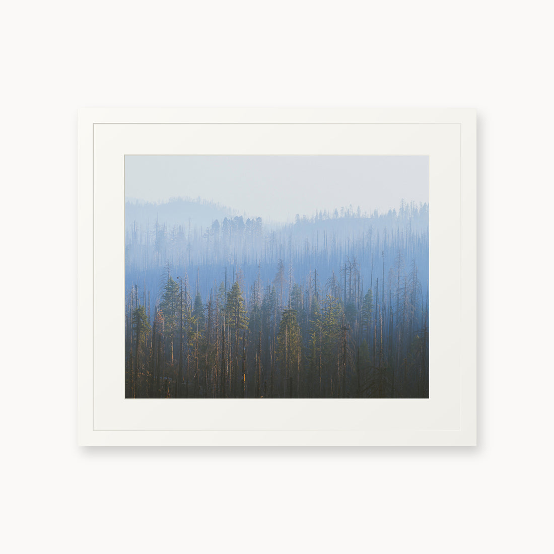 
Sequoia Waves, 16×20 in, white