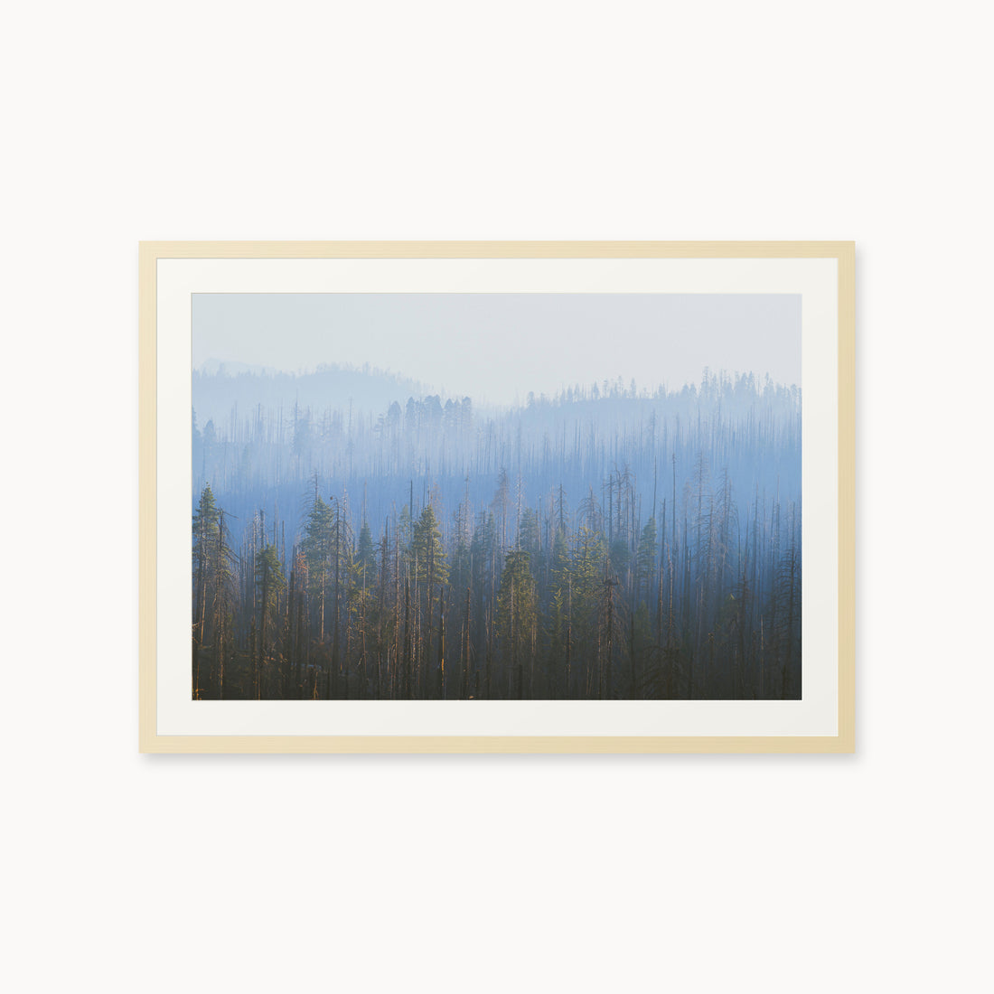 
Sequoia Waves, 24×36 in, maple