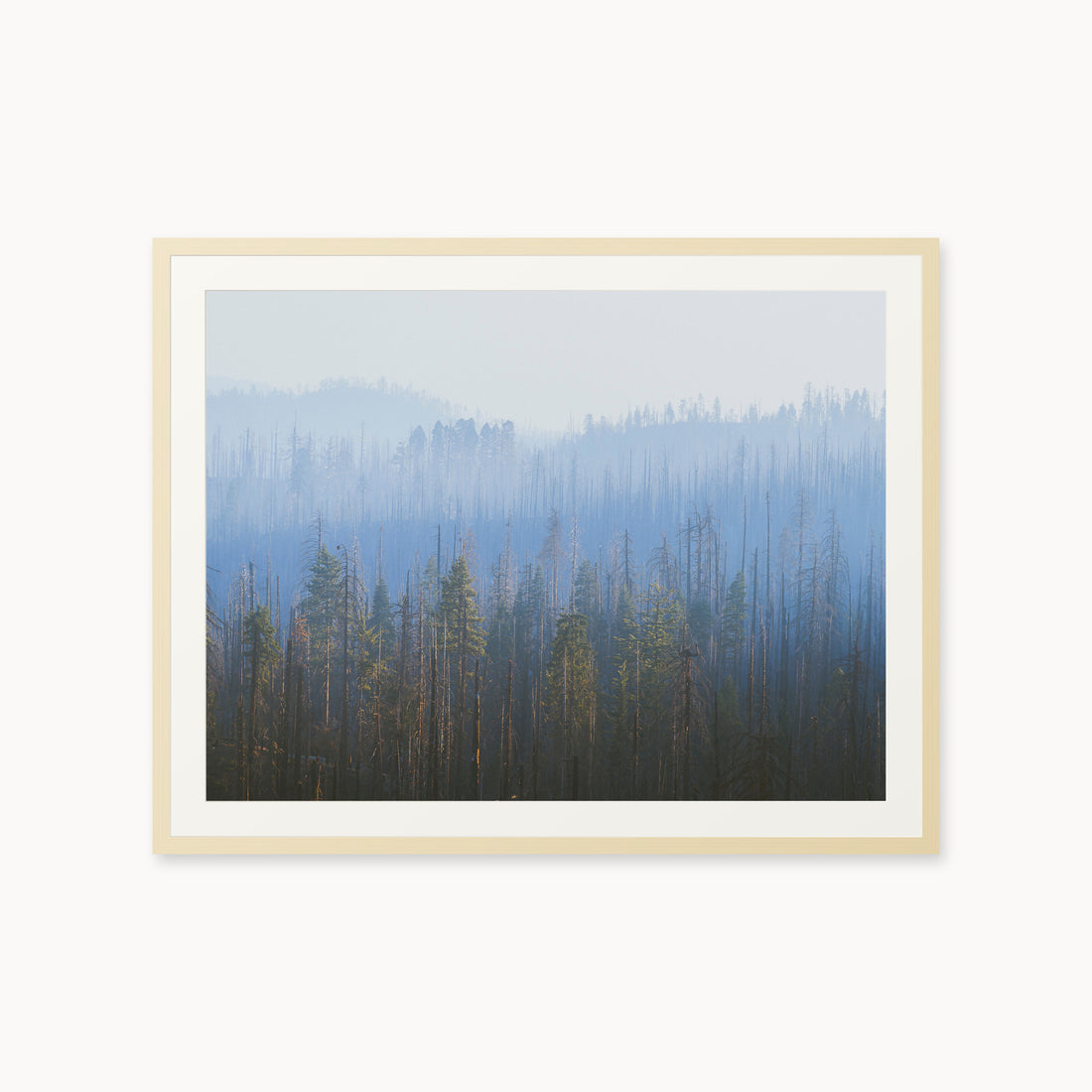 
Sequoia Waves, 30×40 in, maple