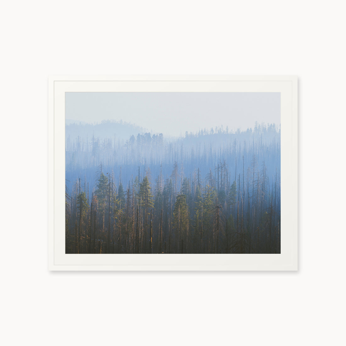 
Sequoia Waves, 30×40 in, white