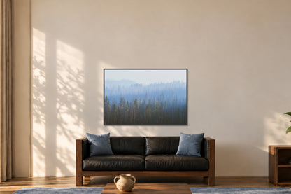 Sequoia Waves