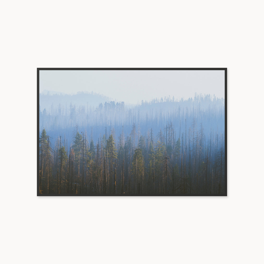 
Sequoia Waves, 40×60 in, black
