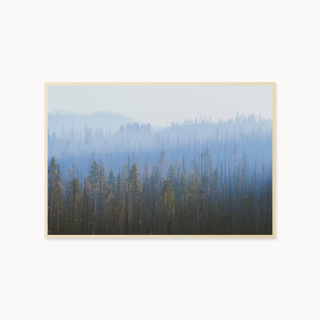 
Sequoia Waves, 40×60 in, maple