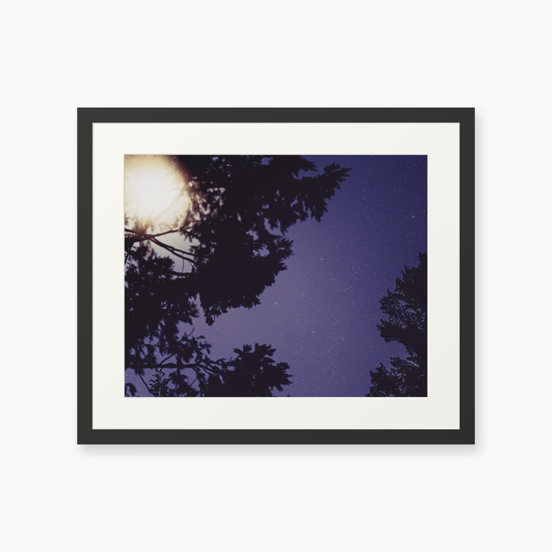 
Sequoia Blues — 16x20, black frame. Tree silhouettes framing a starry violet-blue sky.