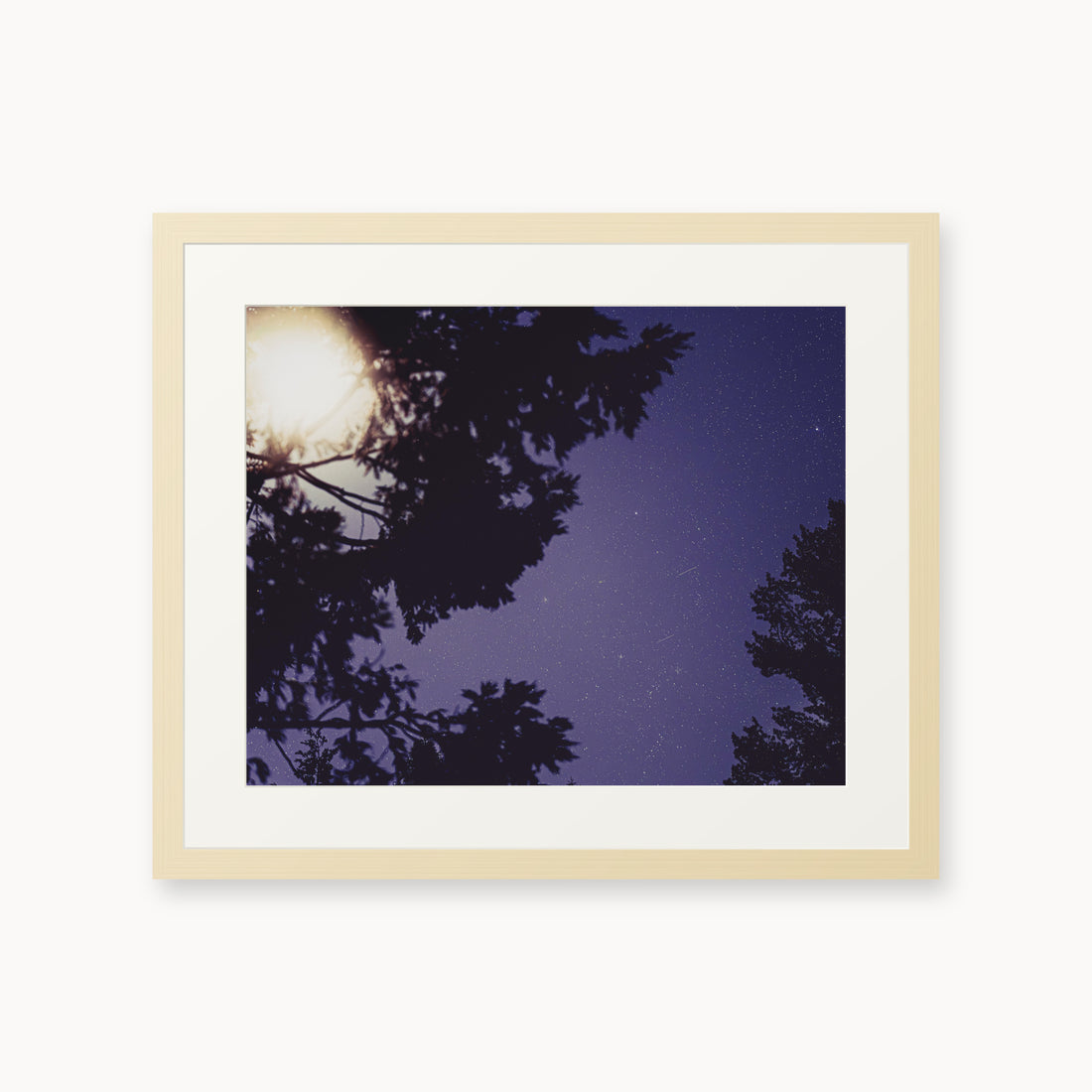 
Sequoia Blues — 16x20, maple frame. Tree silhouettes framing a starry violet-blue sky.