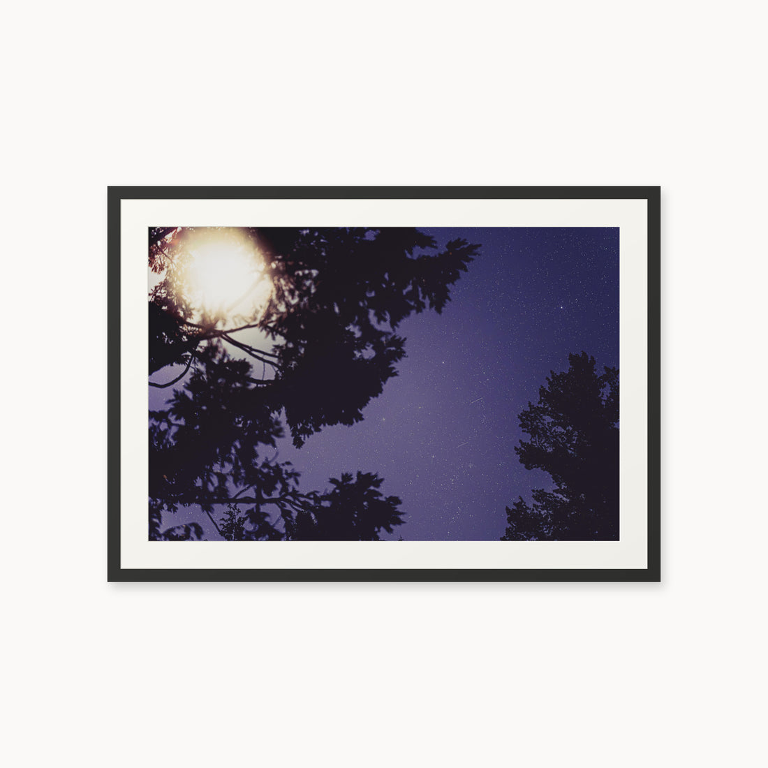
Sequoia Blues — 24x36, black frame. Tree silhouettes framing a starry violet-blue sky.