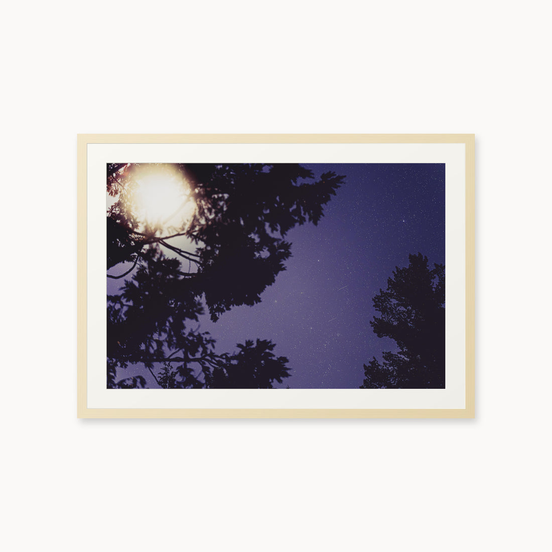 
Sequoia Blues — 24x36, maple frame. Tree silhouettes framing a starry violet-blue sky.