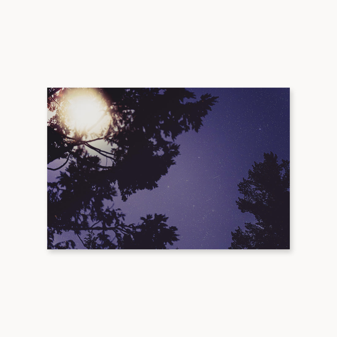
Sequoia Blues — 24x36, unframed. Tree silhouettes framing a starry violet-blue sky.