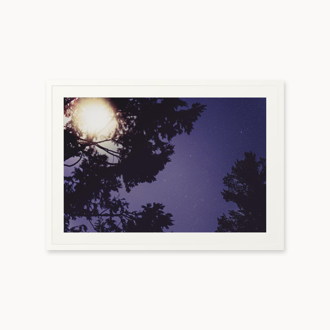 
Sequoia Blues — 24x36, white frame. Tree silhouettes framing a starry violet-blue sky.