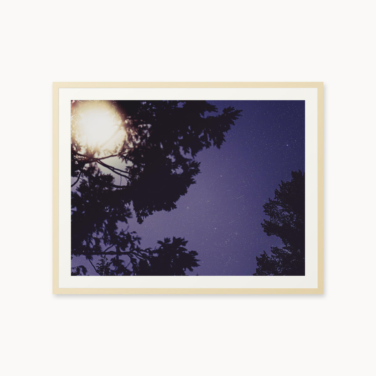 Sequoia Blues