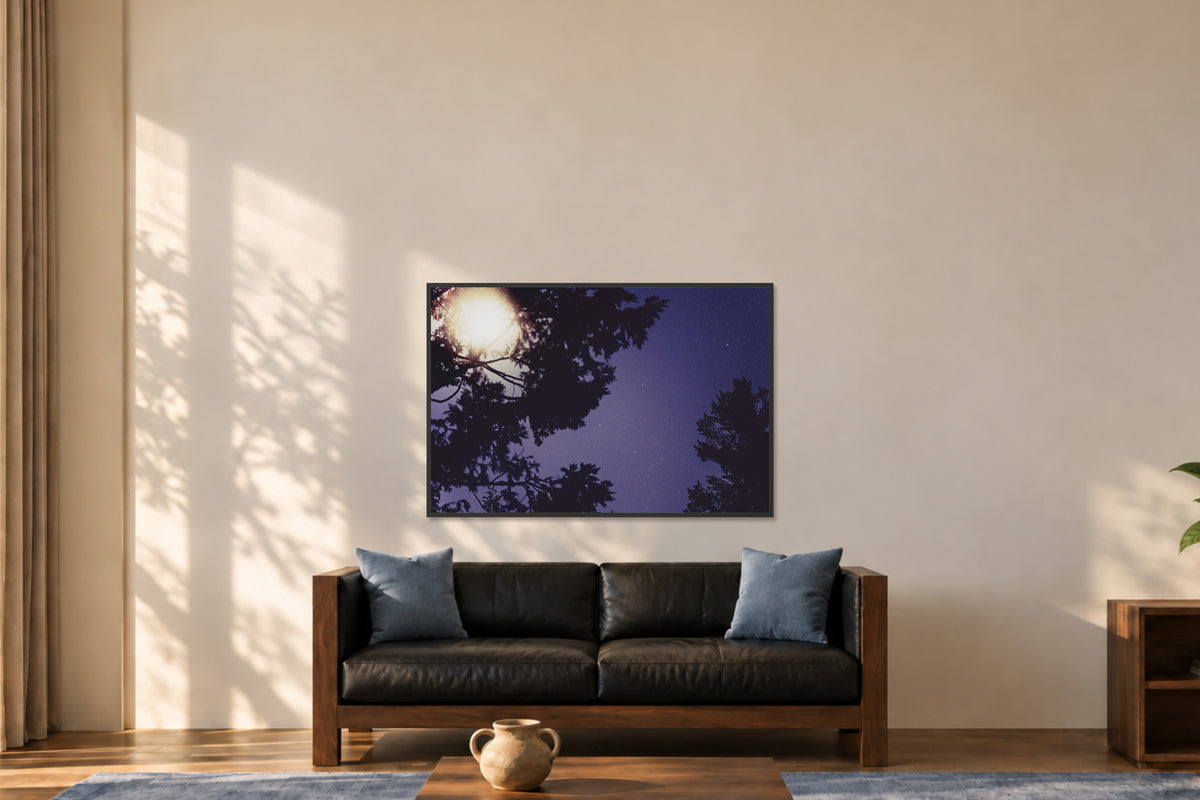 
Sequoia Blues fine art photograph in a 40×60 black frame in a lounge.