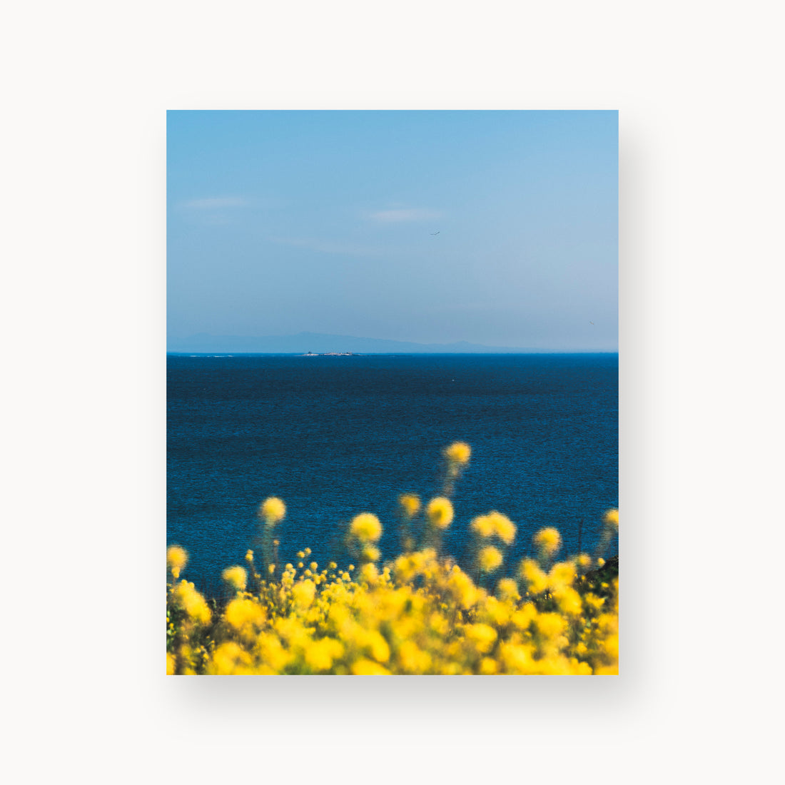 
The Sun is Always There, 8×10 in, unframed