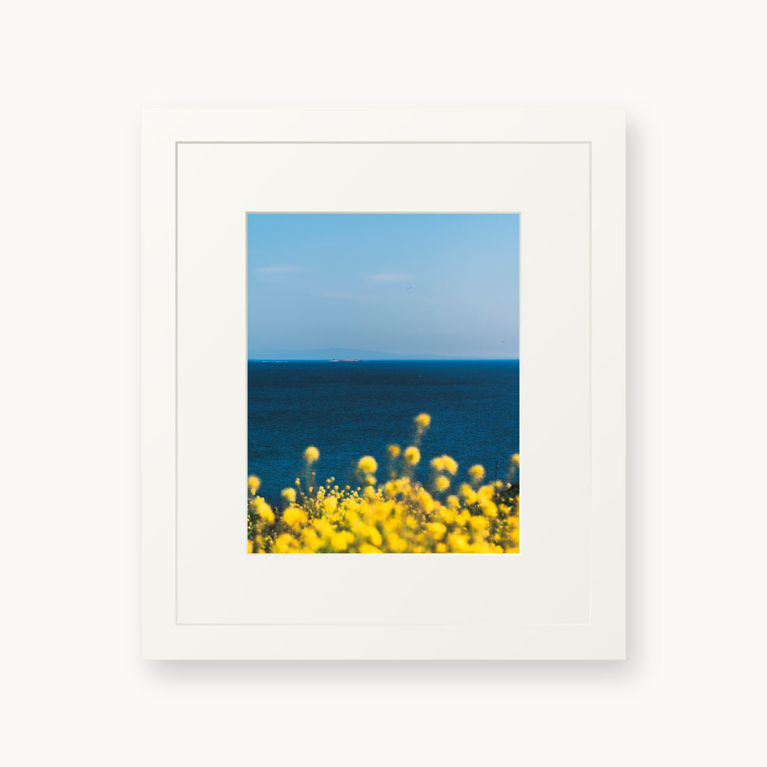 
The Sun is Always There, 8×10 in, white