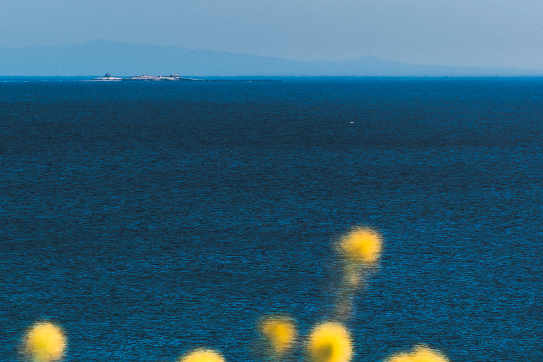 
A scenic photograph of a vast blue ocean under a pale sky, with distant landforms on the horizon and blurred yellow flowers in the foreground.