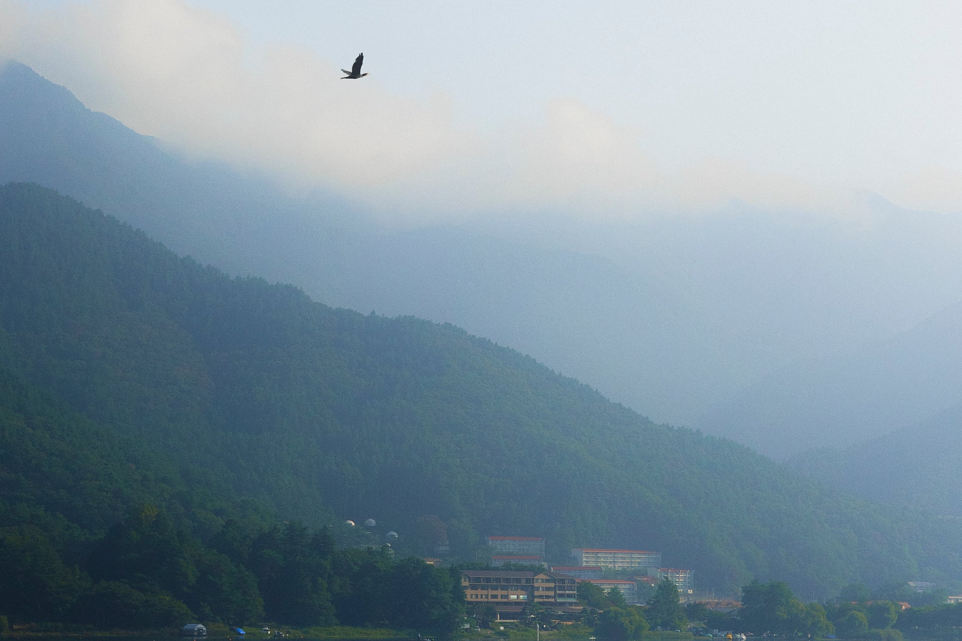 This minimalist mountain lake photography print features a serene blue-toned landscape with a bird in flight, making it ideal for calm wall art, Japandi decor, and modern minimalist interiors. Perfect for living rooms, bedrooms, and offices, this fine art print enhances spaces with soft blue hues, atmospheric depth, and a peaceful, elevated aesthetic.