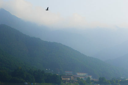 This minimalist mountain lake photography print features a serene blue-toned landscape with a bird in flight, making it ideal for calm wall art, Japandi decor, and modern minimalist interiors. Perfect for living rooms, bedrooms, and offices, this fine art print enhances spaces with soft blue hues, atmospheric depth, and a peaceful, elevated aesthetic.