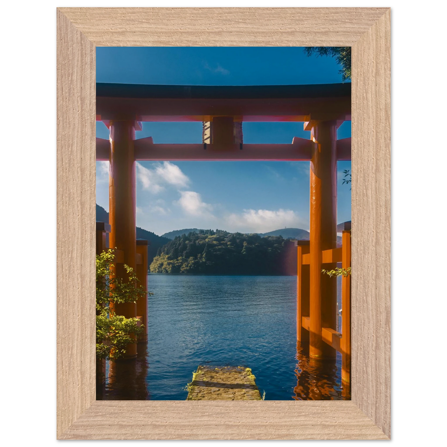 c43449b6-da46-4f6d-acbe-ef3aedc5abd7