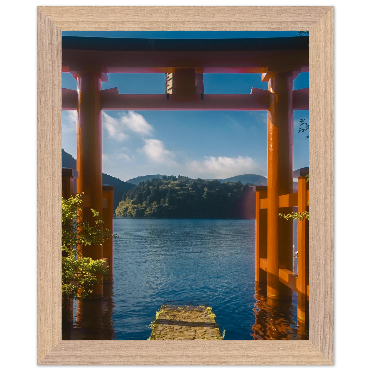 ca958d38-a11e-480c-857b-b71a799cc535