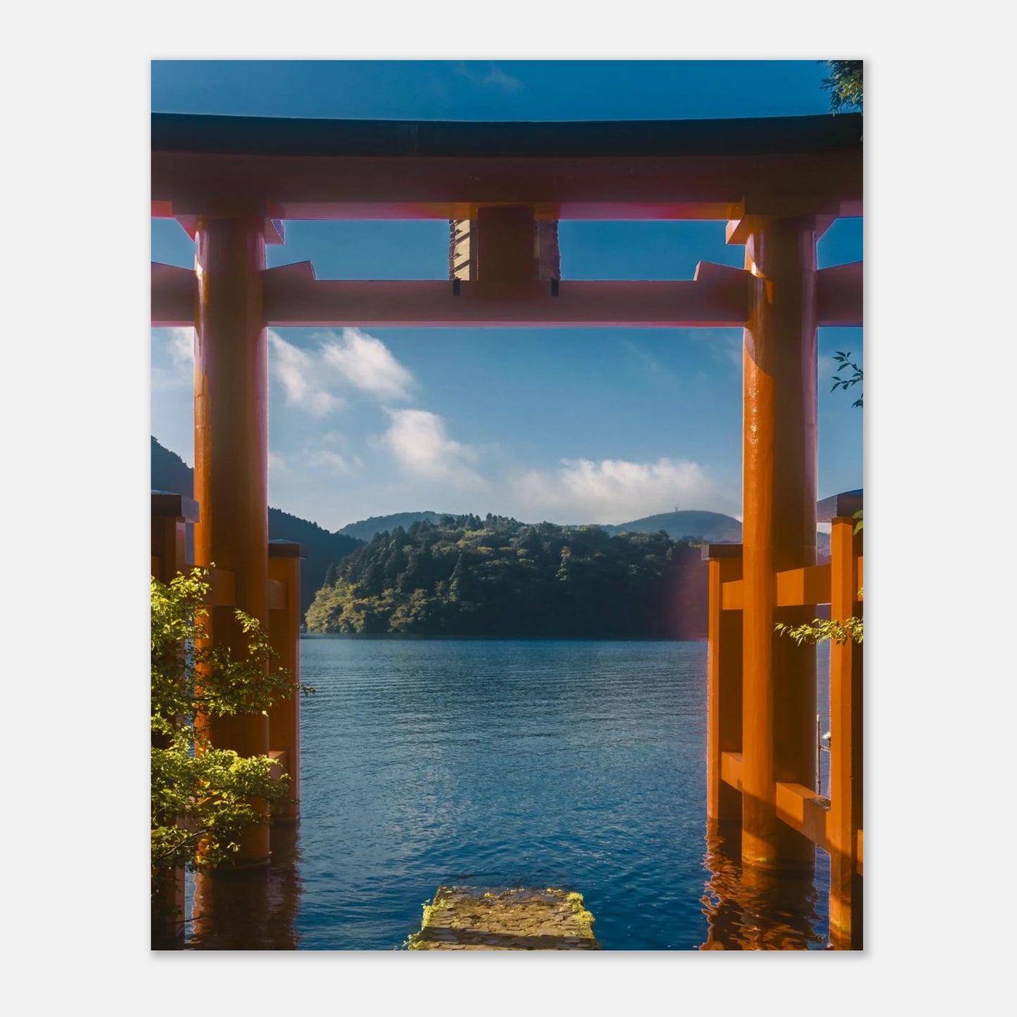 cc6dd395-ec36-450b-8f38-e559ad5d3169