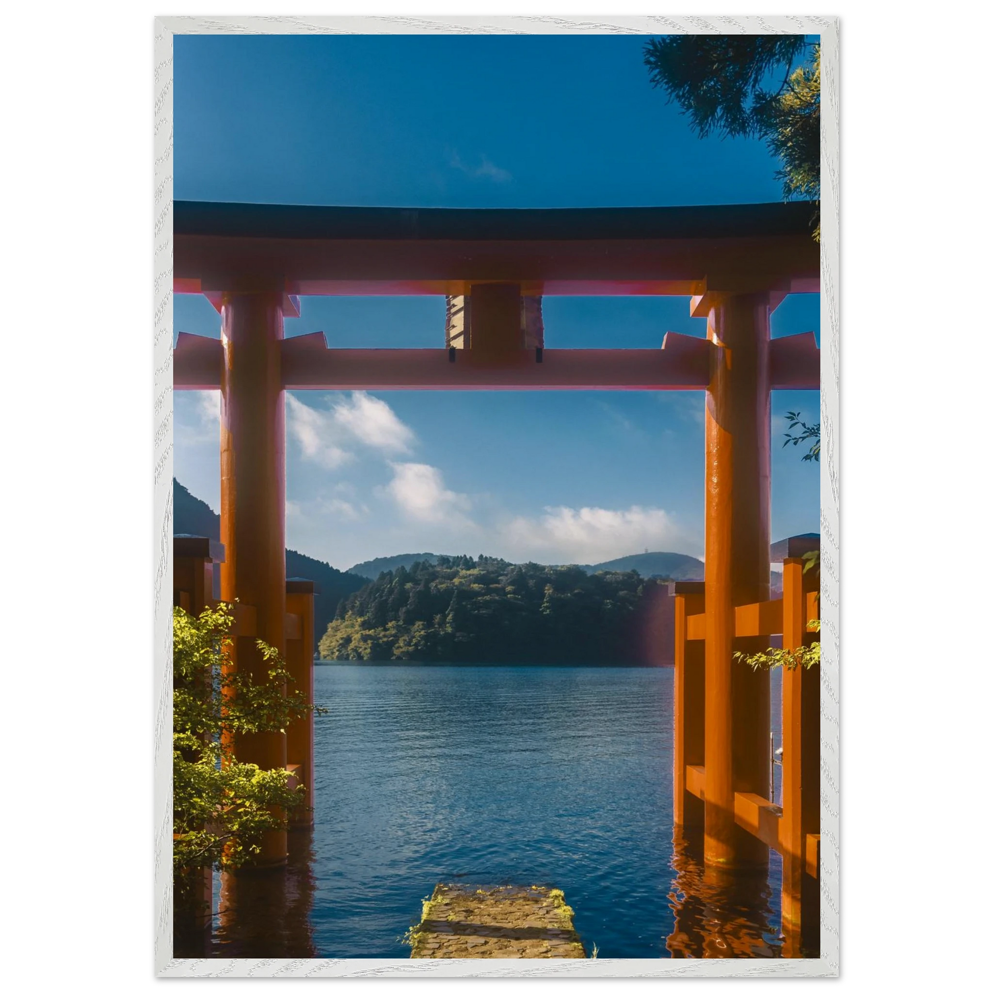 ccd11d5e-0250-482d-965c-2f50e8b5f0d9