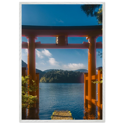 ccd11d5e-0250-482d-965c-2f50e8b5f0d9