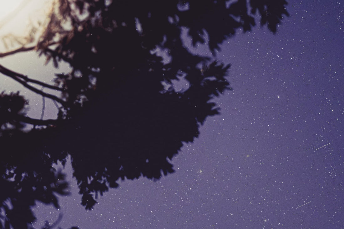 
Sequoia Blues